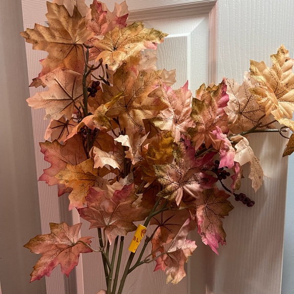 Fall Bushes - Picture 2 of 3